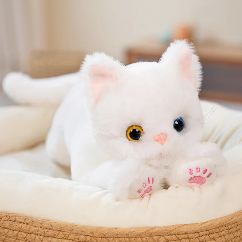 Chaton Peluche Blanc - Peluchy