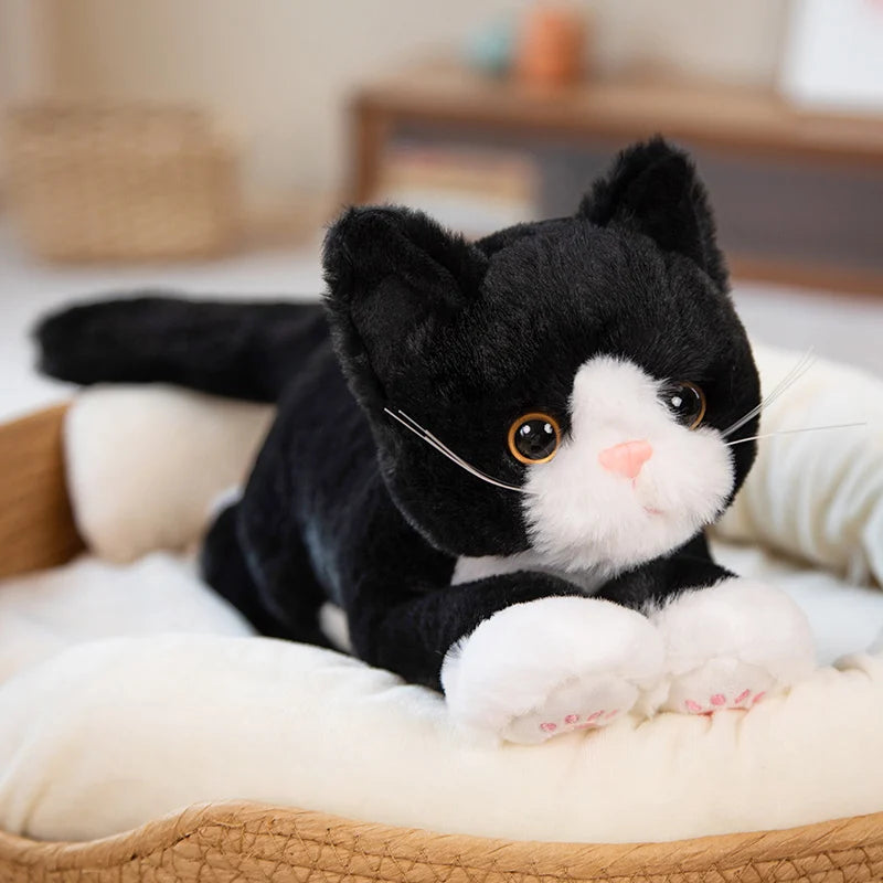 Chaton Peluche Noir - Peluchy