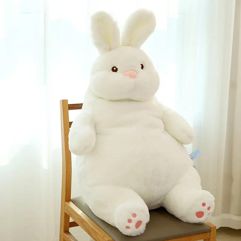 Gros Lapin Peluche - Peluchy