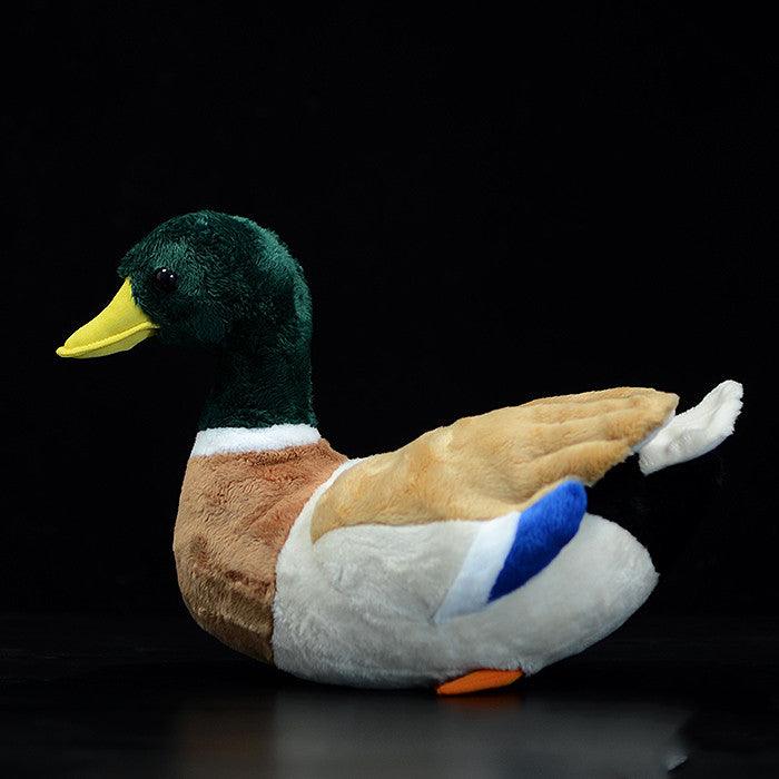 Peluche Canard Colvert - Peluchy