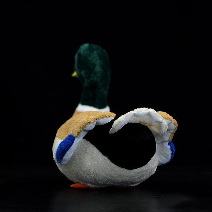Dos Peluche Canard Colvert - Peluchy