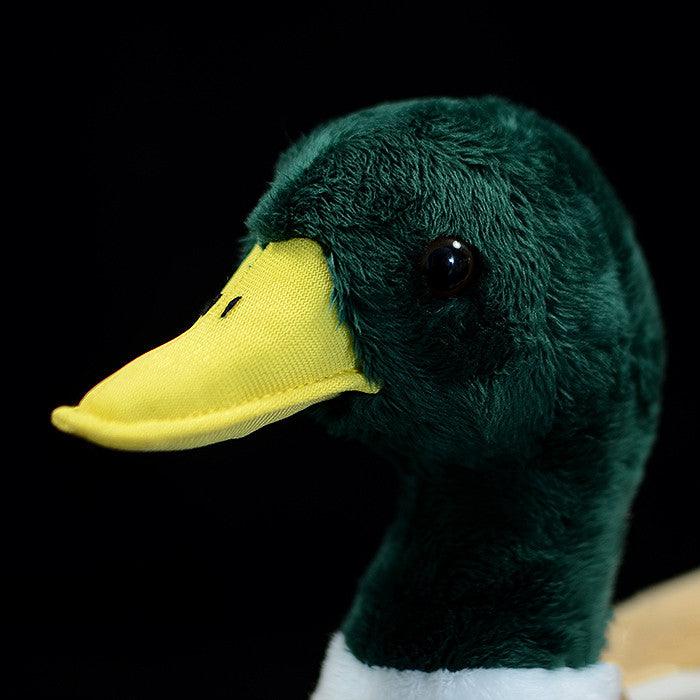 Tête Peluche Canard Colvert - Peluchy