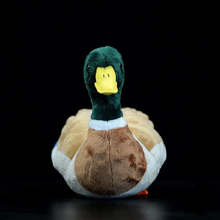 Canard Colvert Peluche - Peluchy