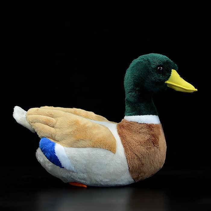 Canard Colvert Réaliste En Peluche - Peluchy
