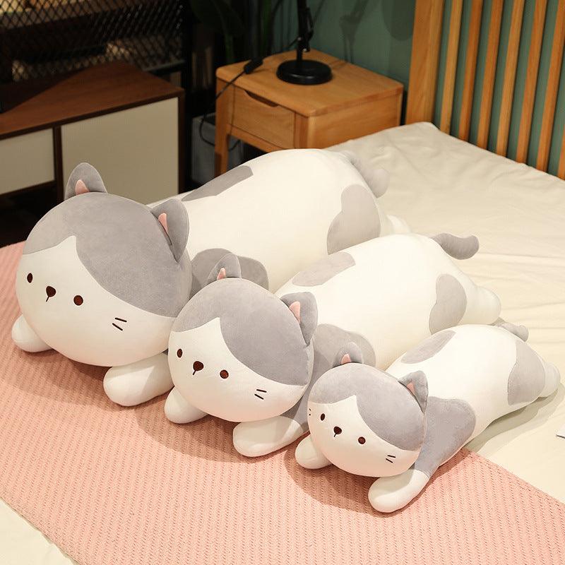 Peluches Chatons - Peluchy