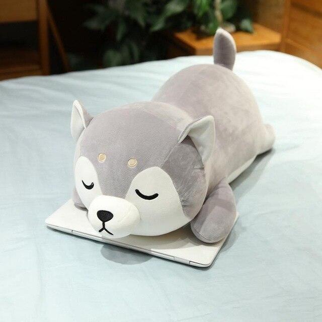 Peluche Chien Husky - Peluchy