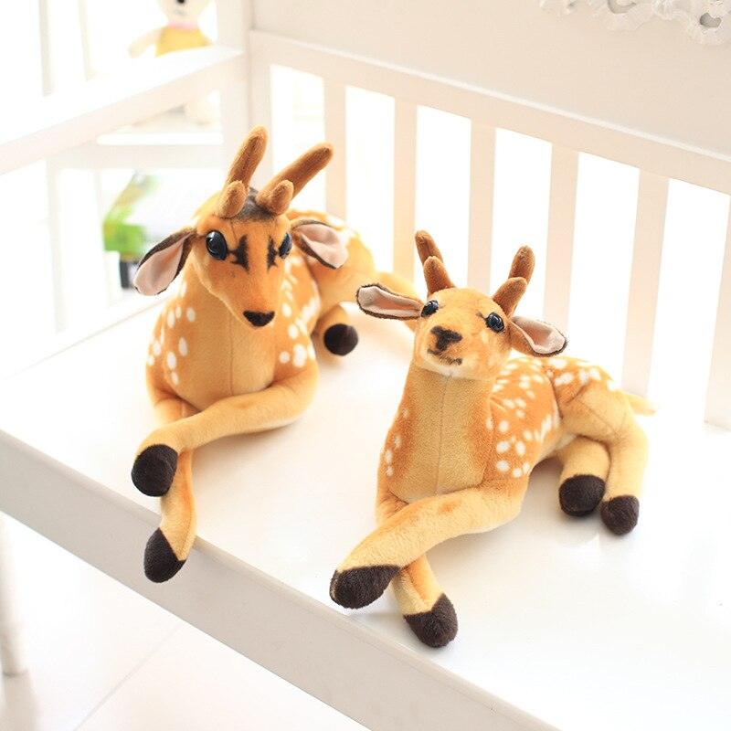 Rennes en Peluche - Peluchy