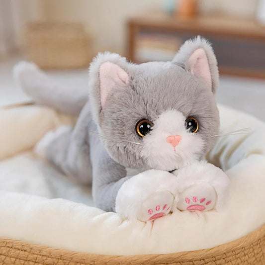 Chaton Peluche - Peluchy