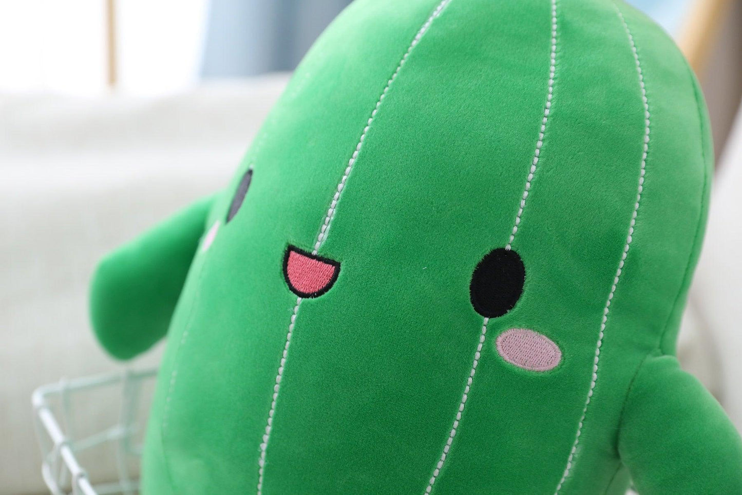 Visage Kawaii Cactus - Peluchy