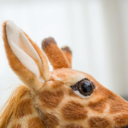 Visage Peluche Girafe - Peluchy