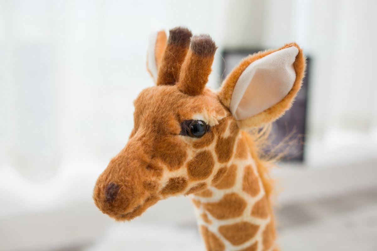 Tête Peluche Girafe - Peluchy