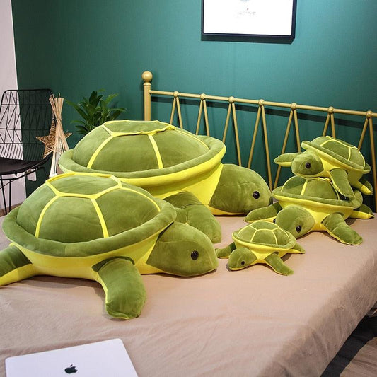 Tortues en Peluche - Peluchy